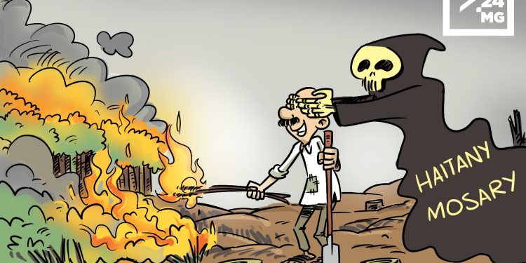 LA DÉFORESTATION À MADAGASCAR, L&rsquo;INCOMPRÉHENSION