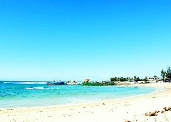 RESSOURCES HALIEUTIQUES : Levée de boucliers contre un accord de pêche avec la Chine