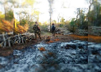 ENVIRONNEMENT : Douze hectares de forêt dans le parc national Mikea parties en fumée