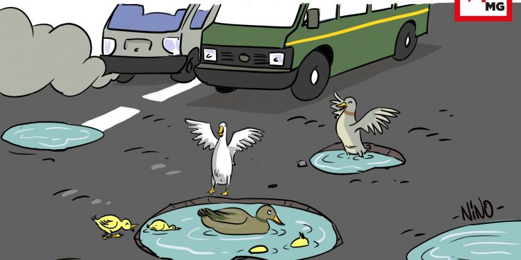 ROUTES À TANA : MARES À CANARDS