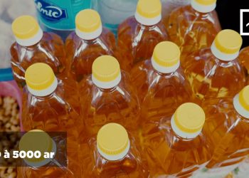 RELEVÉ DE PRIX DES PPN À LA FIN JANVIER