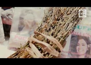 FITSABOANA NENTI-PAHARAZANA