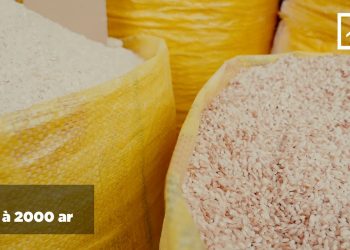 INDICE DES PPN DU MOIS DE MARS