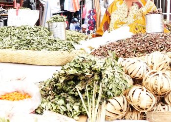 FAHASALAMANA : Mila fitandremana ny fisotroana mangidy