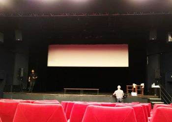 SEPTIÈME ART : Le cinéma malgache se cherche encore