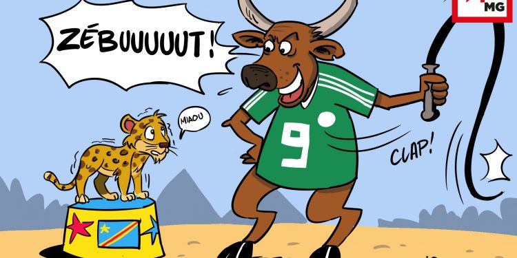 DRESSAGE DE LÉOPARDS