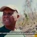 LE PARC NATIONAL D&rsquo;ANKARAFANTSIKA GRAVEMENT MENACÉ