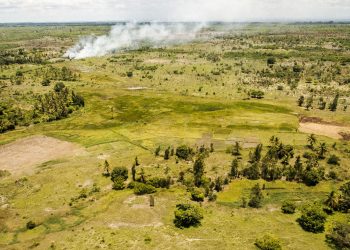 ENVIRONNEMENT – Pression migratoire sur des aires protégées