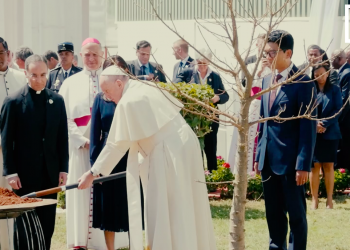 DISCOURS DU PAPE : Alerte de François sur la corruption et la déforestation