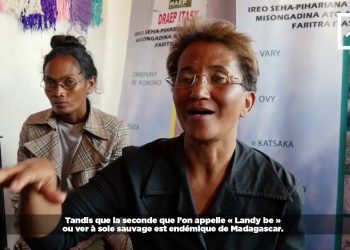 ARTISANAT : LA SÉRICICULTURE FAIT VIVRE DE NOMBREUSES FAMILLES À MADAGASCAR