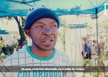 JARDINAGE : DÉCORATION AVEC DES ARBRES FRUITIERS