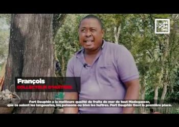 Les huîtres d&rsquo;Ankoba