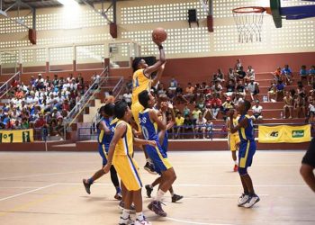 SPORT : Les jeunes basketteurs malgaches joueront comme en Amérique 