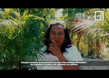 LA PÉPINIÈRE D&rsquo;ANTSIRABE