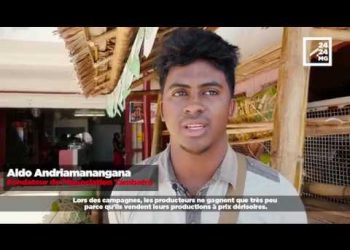 LITCHI : QUAND LES JEUNES PRENNENT LEUR DESTIN EN MAIN