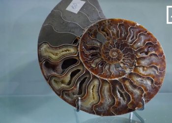 VISITE VIRTUELLE DE LA GALERIE DES MINES