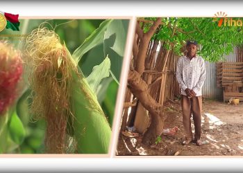 LA MINUTE FIHARIANA 29-01-2020