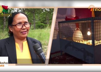 LA MINUTE FIHARIANA 26-02-2020