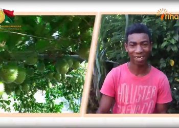 LA MINUTE FIHARIANA DU 12 FEVRIER 2020