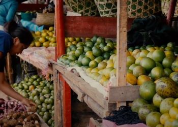 PRODUCTEUR DE FRUITS – LE TRANSPORT EN PÉRIODE DE CONFINEMENT