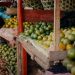 PRODUCTEUR DE FRUITS – LE TRANSPORT EN PÉRIODE DE CONFINEMENT