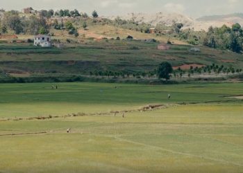 FAMOKARANA BIOLOJIKA : Lany teny anivon’ny Antenimieram-pirenena ny lalàna mifehy ny sehatr’asa