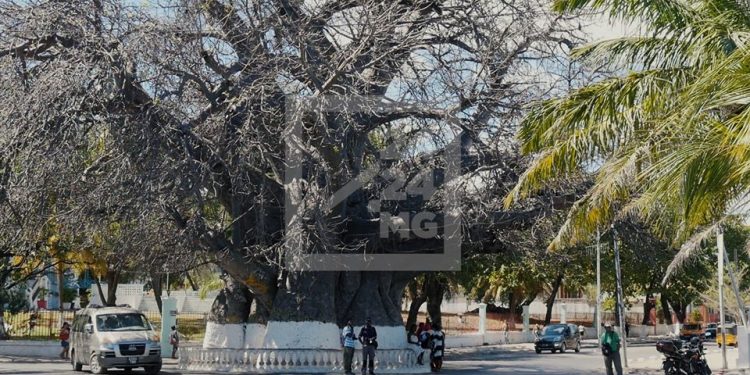 ?EPIDEMIE – Les cas de dengue en baisse à Mahajanga selon le directeur régional de la Santé publique