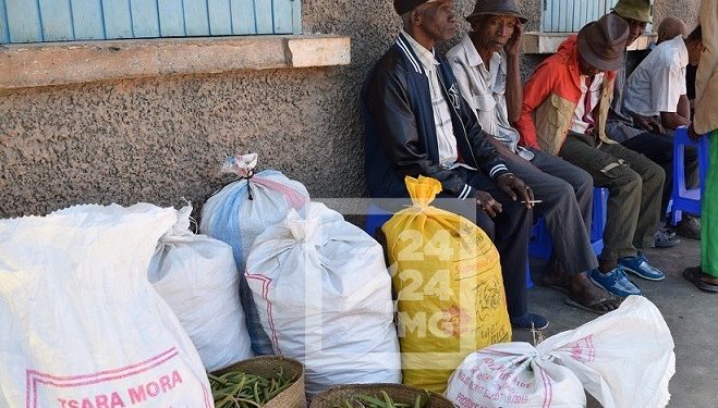 COMMERCE – Aucun accord sur le prix de la vanille verte dans la Sava à la fin de la deuxième journée de campagne