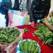 COMMERCE – Le prix de départ de la vanille verte fixé à 40000 ariary à Mahanoro