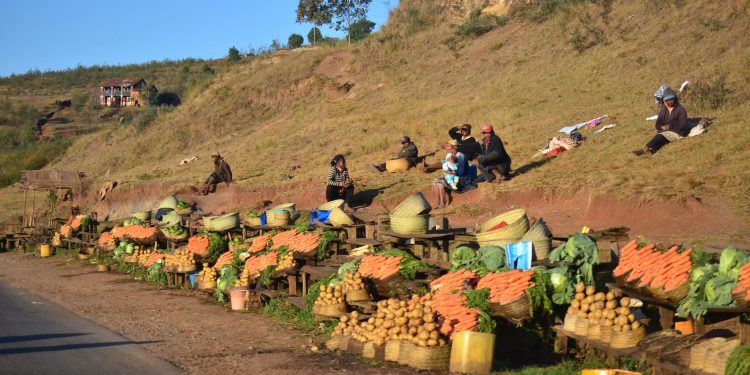 AGRICULTURE – Les paysans attendent de l&rsquo;Etat plus que l&rsquo;achat de leurs produits agricoles