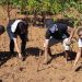 ENVIRONNEMENT – Reforestation de 5000 ha de mangrove à la prochaine campagne de reboisement