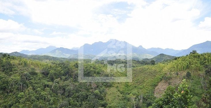 ENVIRONNEMENT – Toutes les aires protégées terrestres de Madagascar vulnérables au changement climatique, évalue le WWF