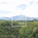 ENVIRONNEMENT – Toutes les aires protégées terrestres de Madagascar vulnérables au changement climatique, évalue le WWF