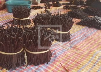 COMMERCE – Andry Rajoelina justifie la baisse du prix de la vanille par le coronavirus