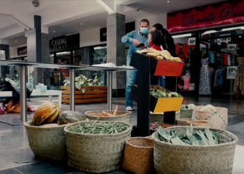 COMMERCE – Des ateliers ludo-éducatifs, des promotions et des soldes à la City pour la rentrée