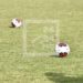 FMF – La rentrée footballistique programmée les 26 et 27 Septembre avec les seizièmes de finale de la Coupe de Madagascar