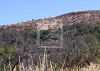 ENVIRONNEMENT- Le parc national d&rsquo;Ankarafantsika épargné par les feux depuis juin selon le ministère de l&rsquo;Environnement et du développement durable