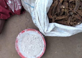 INSECURITE ALIMENTAIRE – Le Programme alimentaire mondial parle d&rsquo;une situation humanitaire « en désolation » dans le Sud