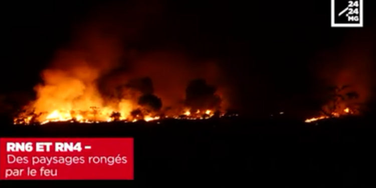 RN6 et RN4 – Les feux continuent de ravager le paysage