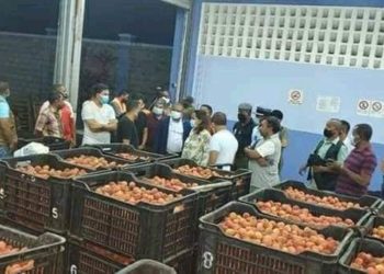 COMMERCE – 16 000 tonnes de litchis à exporter pour la saison 2020-2021