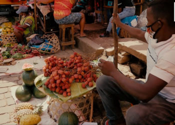 COMMERCE – Vers une chute du prix du litchi sur le marché local durant les fêtes de fin d&rsquo;année