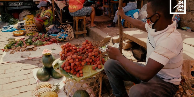 COMMERCE – Vers une chute du prix du litchi sur le marché local durant les fêtes de fin d’année