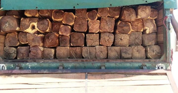 ENVIRONNEMENT – Deux mois de prison avec sursis et 10 millions d&rsquo;ariary d&rsquo;amende pour transport illicite de traverses de palissandre