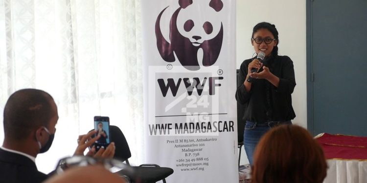 ENVIRONNEMENT – Le cabinet d&rsquo;architecte AMA remporte le concours d&rsquo;architecture de bâtiment écologique