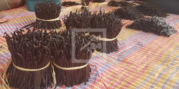 COMMERCE – Le Premier ministre annonce un contrôle du prix de la vanille sur le marché international