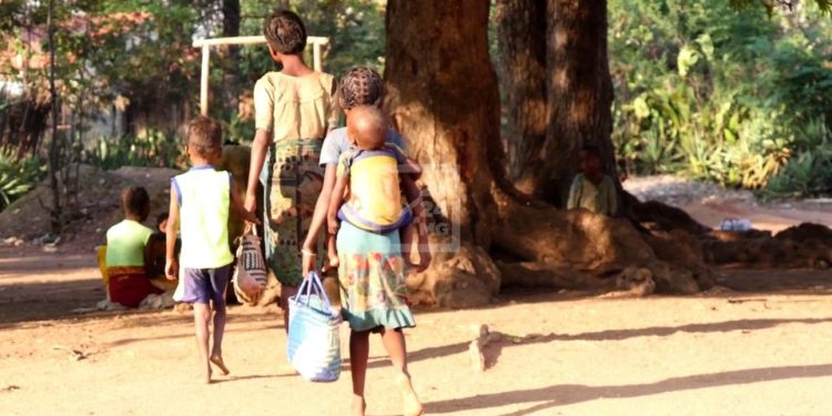 INSECURITE ALIMENTAIRE – Un premier quadrimestre difficile pour le Grand Sud en 2021