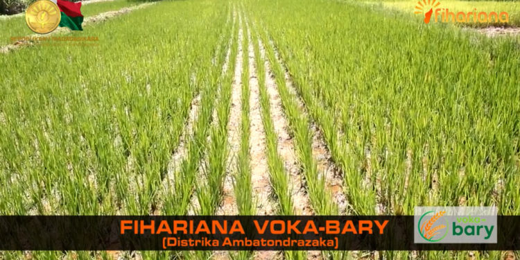 La minute Fihariana – Fihariana Voka-bary