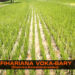 La minute Fihariana – Fihariana Voka-bary