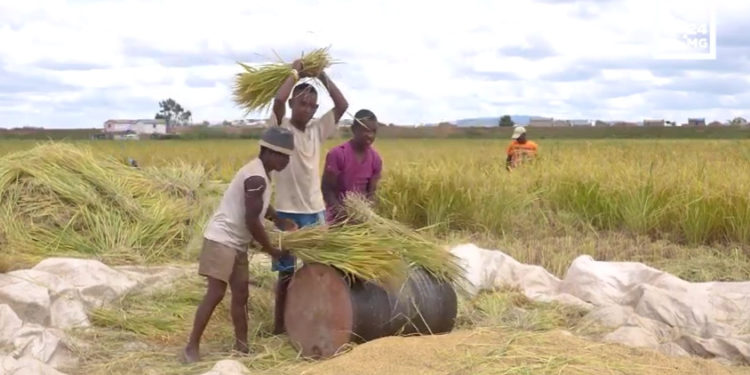 DROIT DE PROPRIETE – Le certificat foncier pour justifier la possession d&rsquo;un terrain