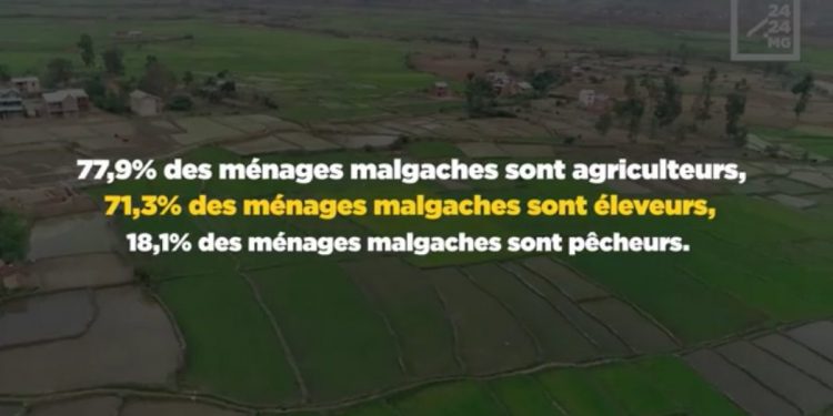 RECENSEMENT – 83,2% des ménages malgaches travaillent dans le secteur agricole